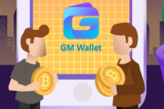 新加坡BCI基金会Gary：GMW钱包是否还有增长空间？